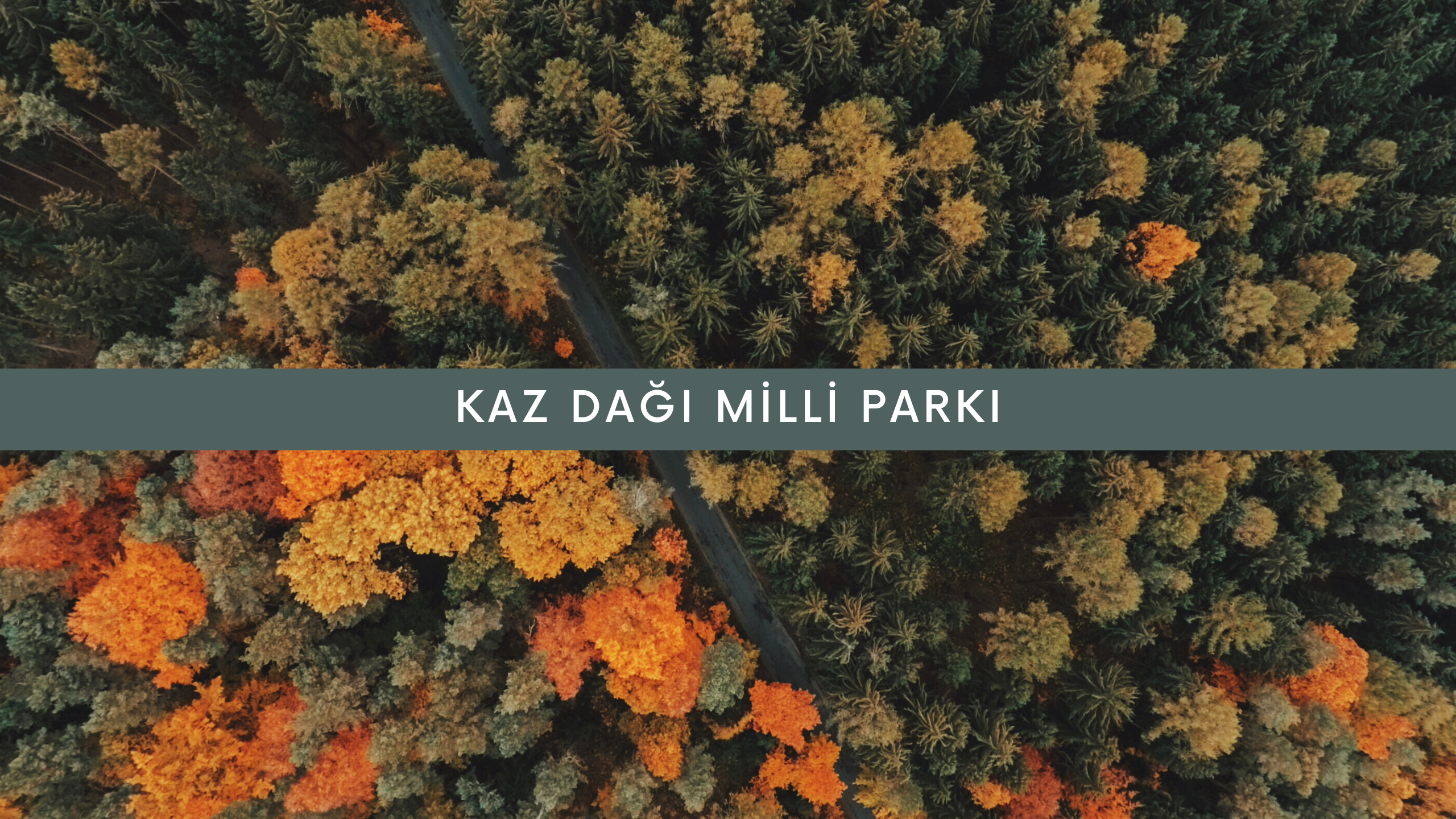 Kaz Dağı Milli Parkı