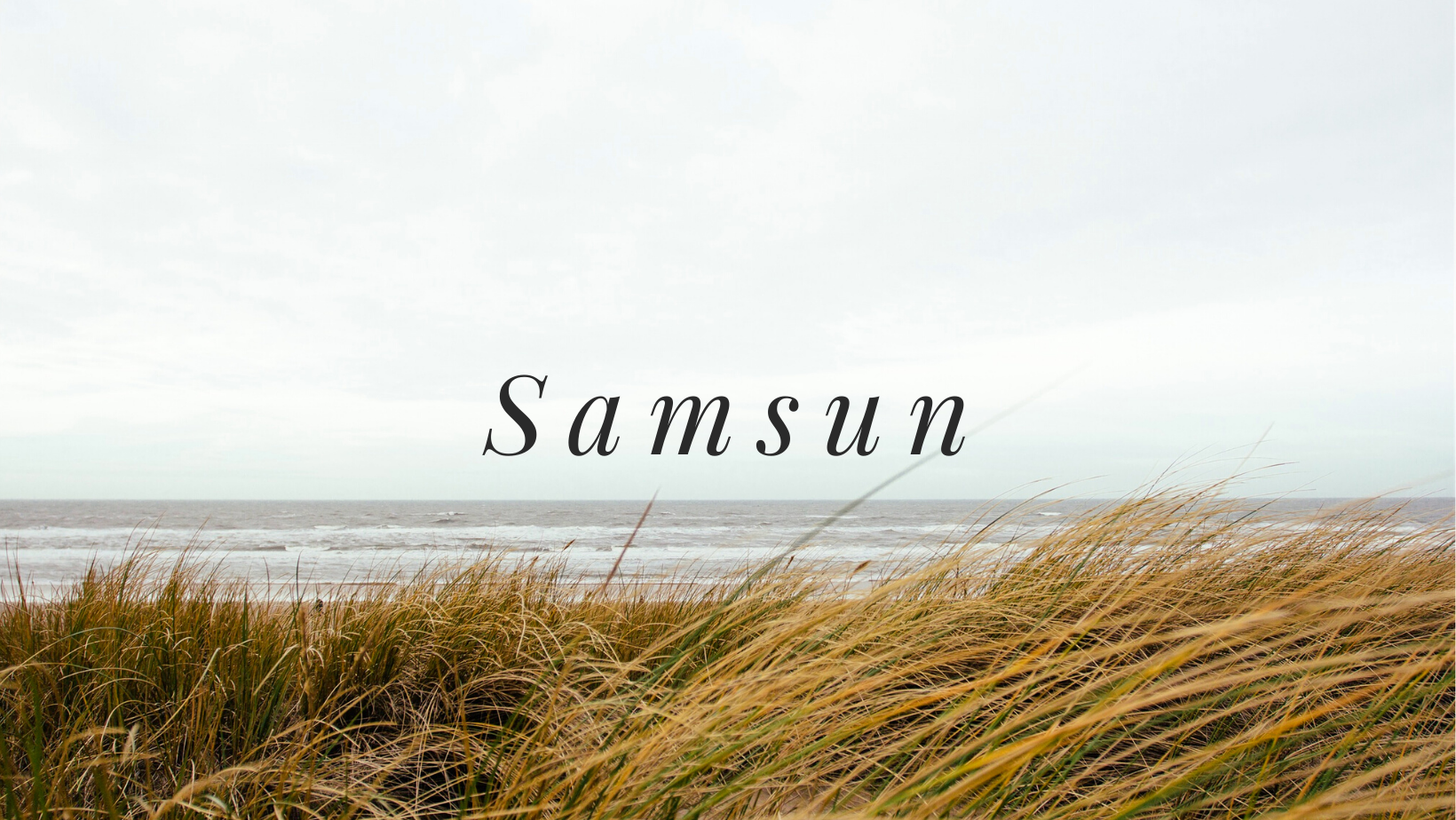 Samsun