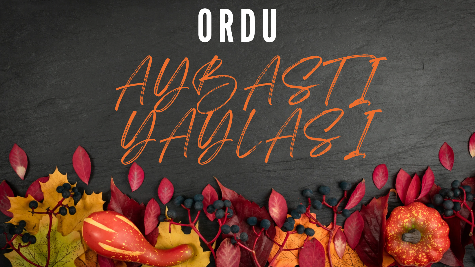 Ordu Aybastı Yaylası